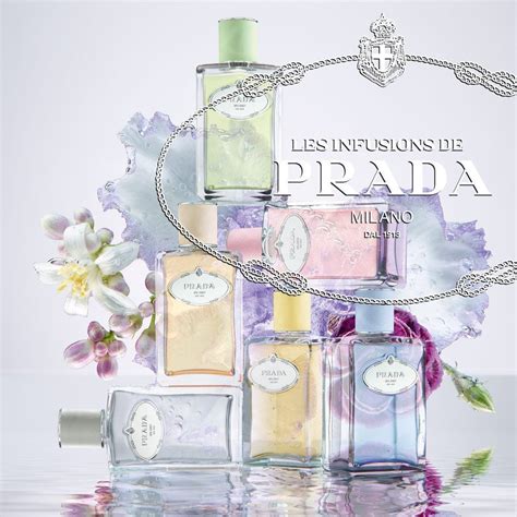 prada les infusions infusion d iris l eau d iris|infusion iris prada sephora.